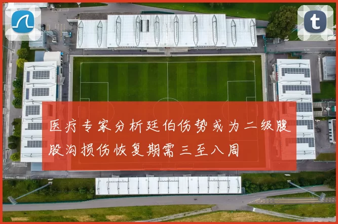 医疗专家分析廷伯伤势或为二级腹股沟损伤恢复期需三至八周