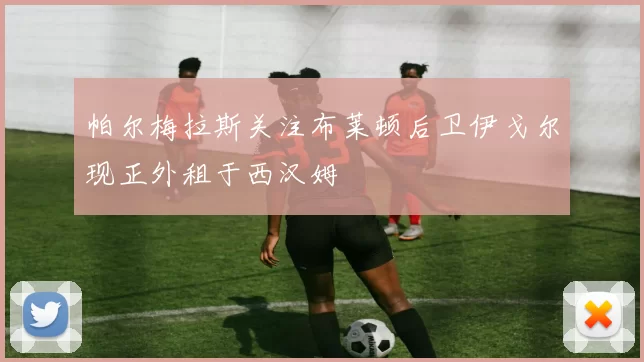 帕尔梅拉斯关注布莱顿后卫伊戈尔现正外租于西汉姆