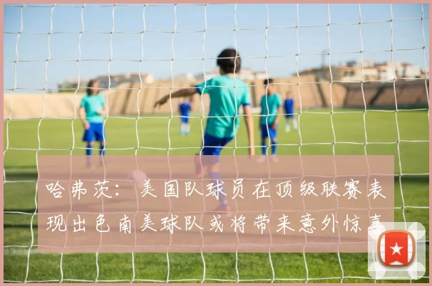 哈弗茨：美国队球员在顶级联赛表现出色南美球队或将带来意外惊喜